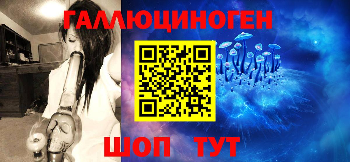 Галлюциногенные грибы Psilocybe  Вход с VPN  Псилоцибиновые грибы GOLDEN TEACHER  Златоуст 